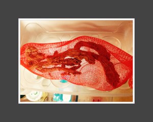 September 21, 2014...by Tom